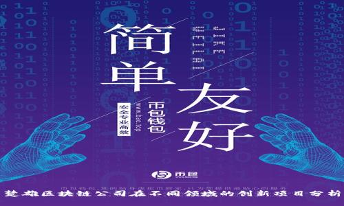 楚雄区块链公司在不同领域的创新项目分析