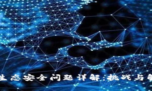 区块链生态安全问题详解:挑战与解决方案