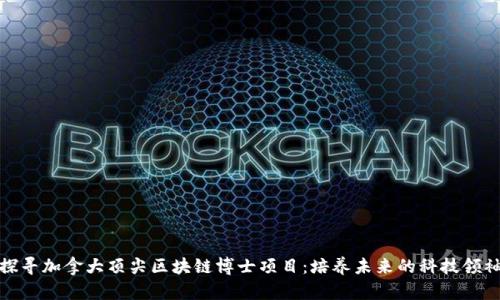探寻加拿大顶尖区块链博士项目:培养未来的科技领袖
