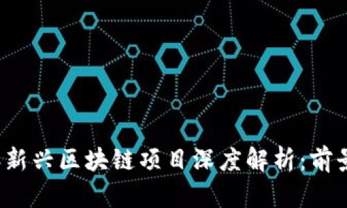 2023年新兴区块链项目深度解析:前景与应用