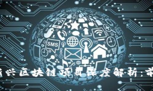 2023年新兴区块链项目深度解析:前景与应用