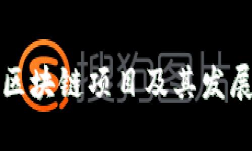 全南正规区块链项目及其发展前景分析