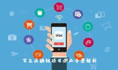 百色区块链项目企业全景解析