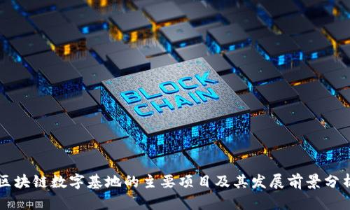 区块链数字基地的主要项目及其发展前景分析