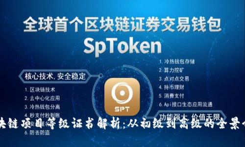 区块链项目等级证书解析:从初级到高级的全景介绍