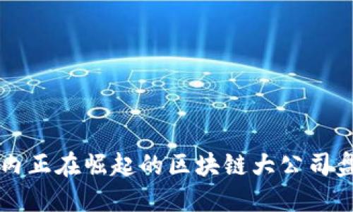 国内正在崛起的区块链大公司盘点