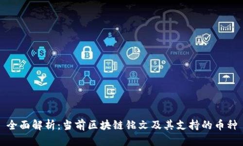 全面解析：当前区块链铭文及其支持的币种