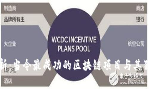 深入分析：当今最成功的区块链项目与其独特优势