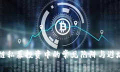 区块链私募投资中的常见陷阱与避坑指
