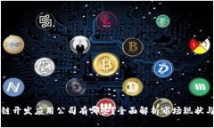区块链开发应用公司有哪些？全面解析