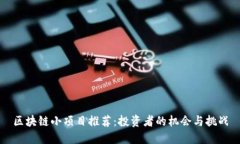 区块链小项目推荐：投资者的机会与挑