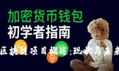 国家区块链项目概述：现状与未来发展