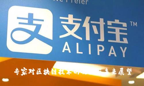 专家对区块链技术的观点与未来展望