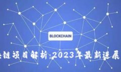落地的区块链项目解析：2023年最新进