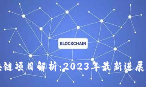 落地的区块链项目解析:2023年最新进展与应用场景