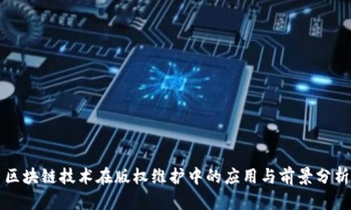 区块链技术在版权维护中的应用与前景分析
