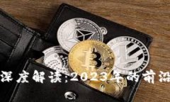 区块链极光项目深度解读：2023年的前