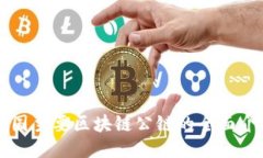 中国主要区块链公链的全面介绍