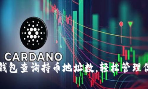 如何通过TP钱包查询持币地址数，轻松管理你的数字资产
