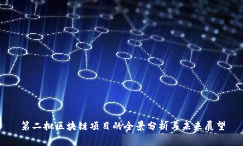 第二批区块链项目的全景分析与未来展望