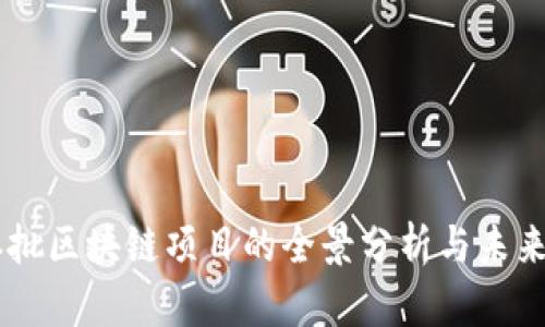 第二批区块链项目的全景分析与未来展望