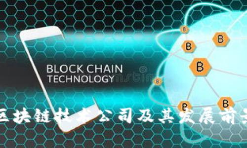 海口区块链技术公司及其发展前景分析