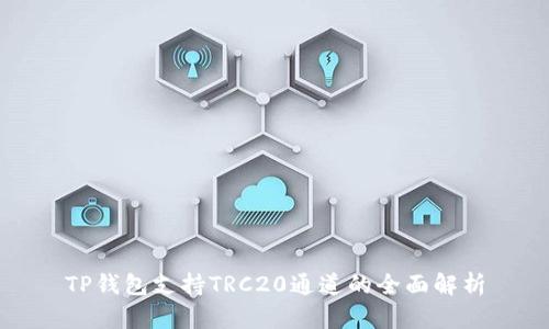 TP钱包支持TRC20通道的全面解析