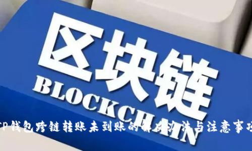 TP钱包跨链转账未到账的解决办法与注意事项