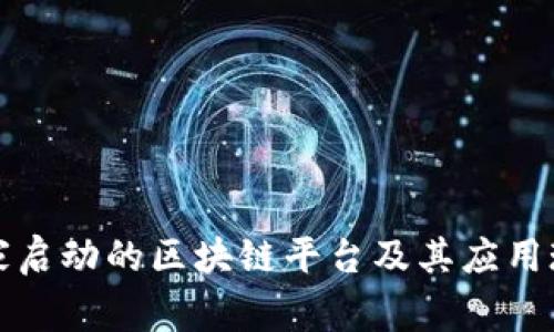 国家启动的区块链平台及其应用现状