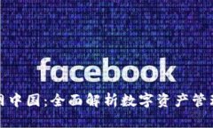 TP钱包官网中国：全面解析数字资产管