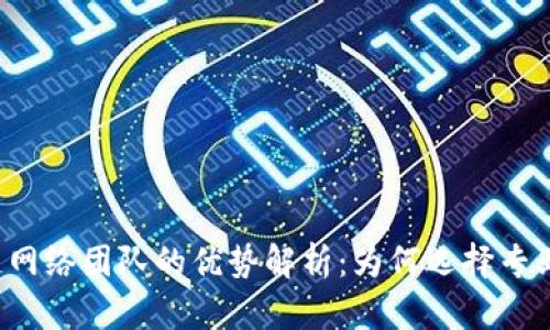 区块链网络团队的优势解析:为何选择专业团队?