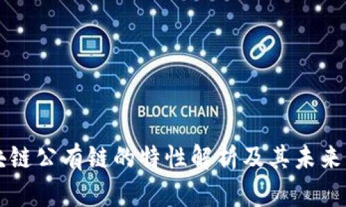 区块链公有链的特性解析及其未来发展