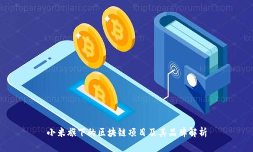 小米旗下的区块链项目及其品牌解析