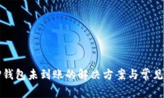 提币到TP钱包未到账的解决方案与常见
