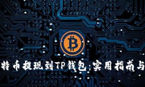 如何将比特币提现到TP钱包:实用指南与注意事项