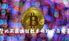赞比亚区块链技术的现状与前景