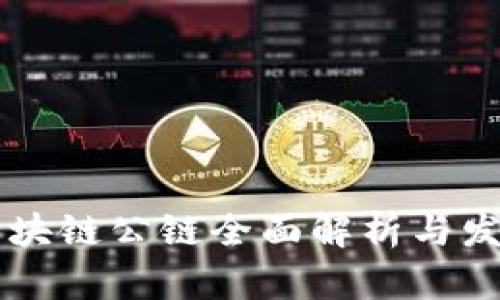 主流区块链公链全面解析与发展前景