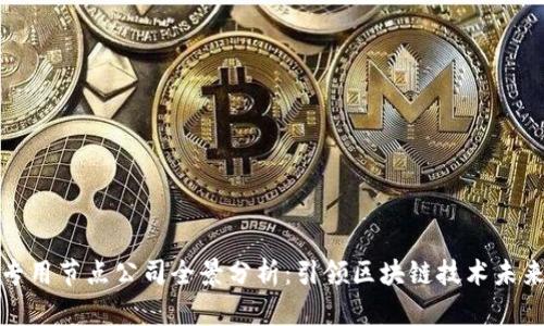 区块链专用节点公司全景分析:引领区块链技术未来的先锋