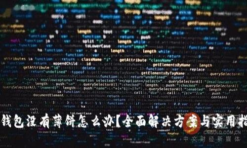 TP钱包没有薄饼怎么办?全面解决方案与实用指南