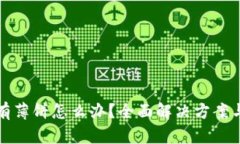 TP钱包没有薄饼怎么办？全面解决方案