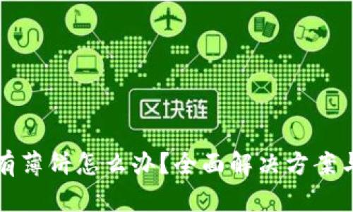 TP钱包没有薄饼怎么办?全面解决方案与实用指南