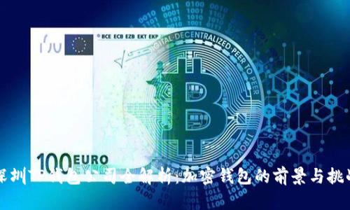 深圳TP钱包公司全解析:加密钱包的前景与挑战