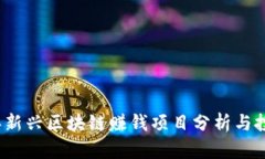 2023年新兴区块链赚钱项目分析与投资