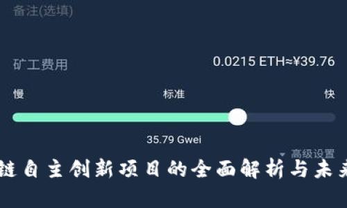 区块链自主创新项目的全面解析与未来展望