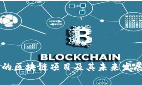 内测阶段的区块链项目及其未来发展潜力解析