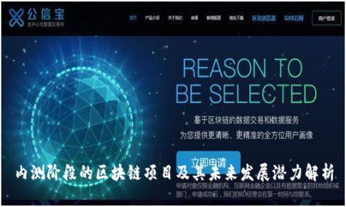 内测阶段的区块链项目及其未来发展潜力解析