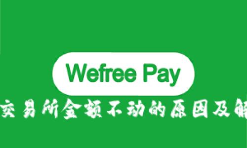 TP钱包交易所金额不动的原因及解决方案