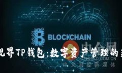 星云视界TP钱包：数字资产管理的新选