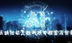 区块链能复投的项目推荐与分析
