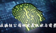 佛山区块链公司的发展现状与前景分析
